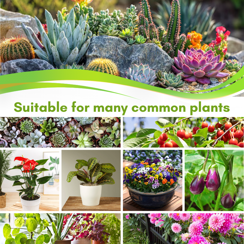 BloomGenius Universal Slow-Release Organic Fertilizer