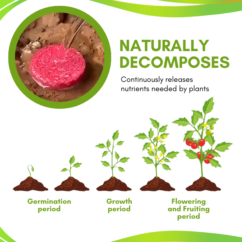 BloomGenius Universal Slow-Release Organic Fertilizer
