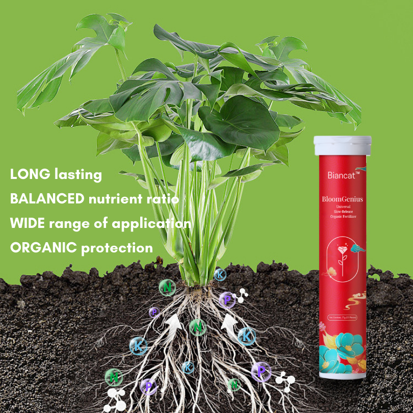 BloomGenius Universal Slow-Release Organic Fertilizer